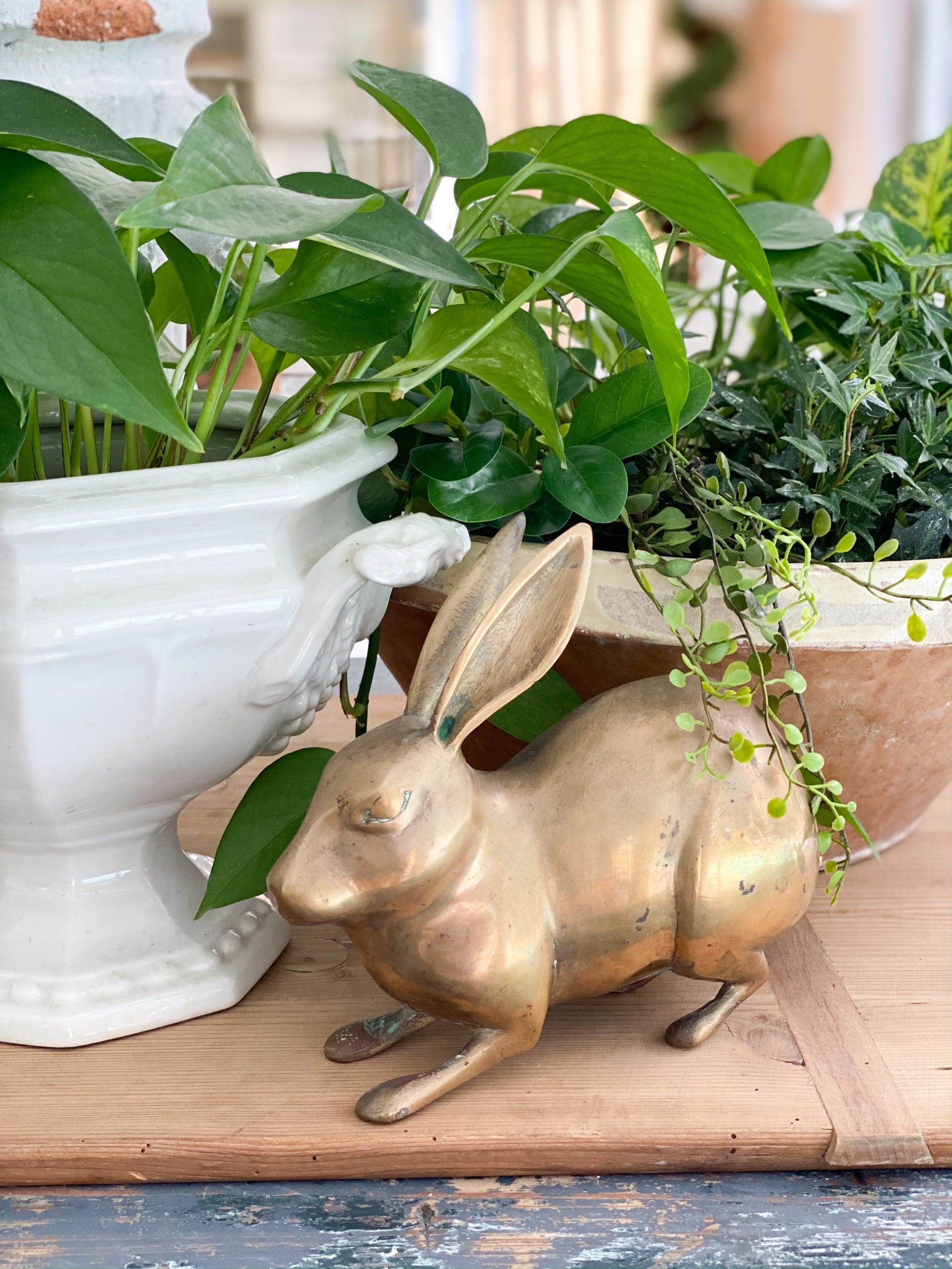 small brass bunny in front of two different plants in different pots