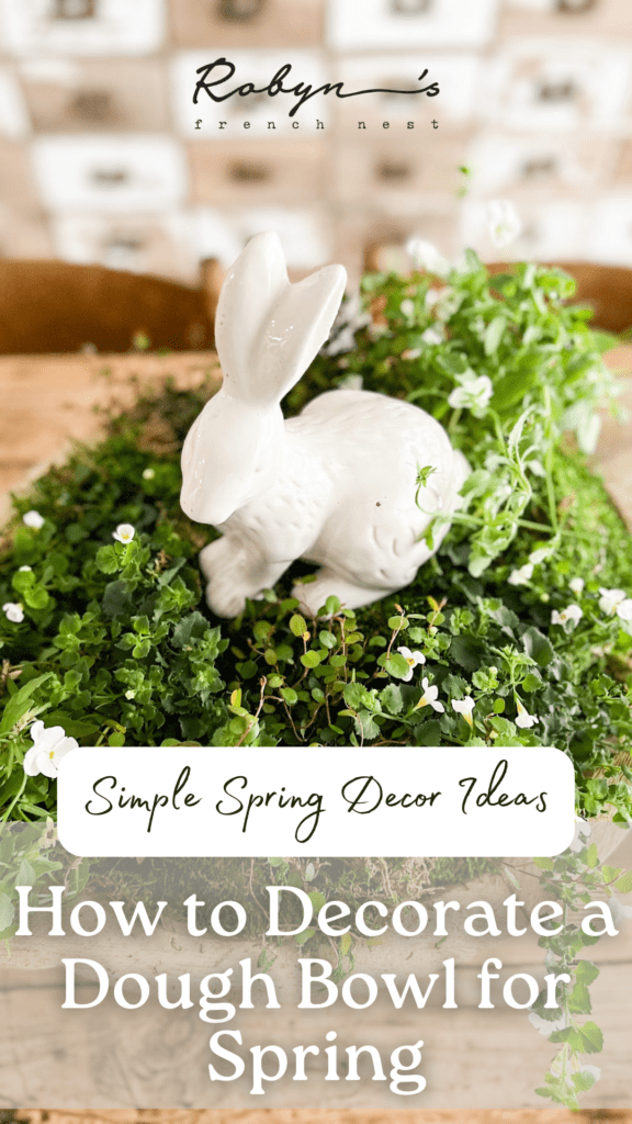 https://robynsfrenchnest.com/wp-content/uploads/2021/03/How-to-Decorate-a-Dough-Bowl-for-Spring-576x1024.png