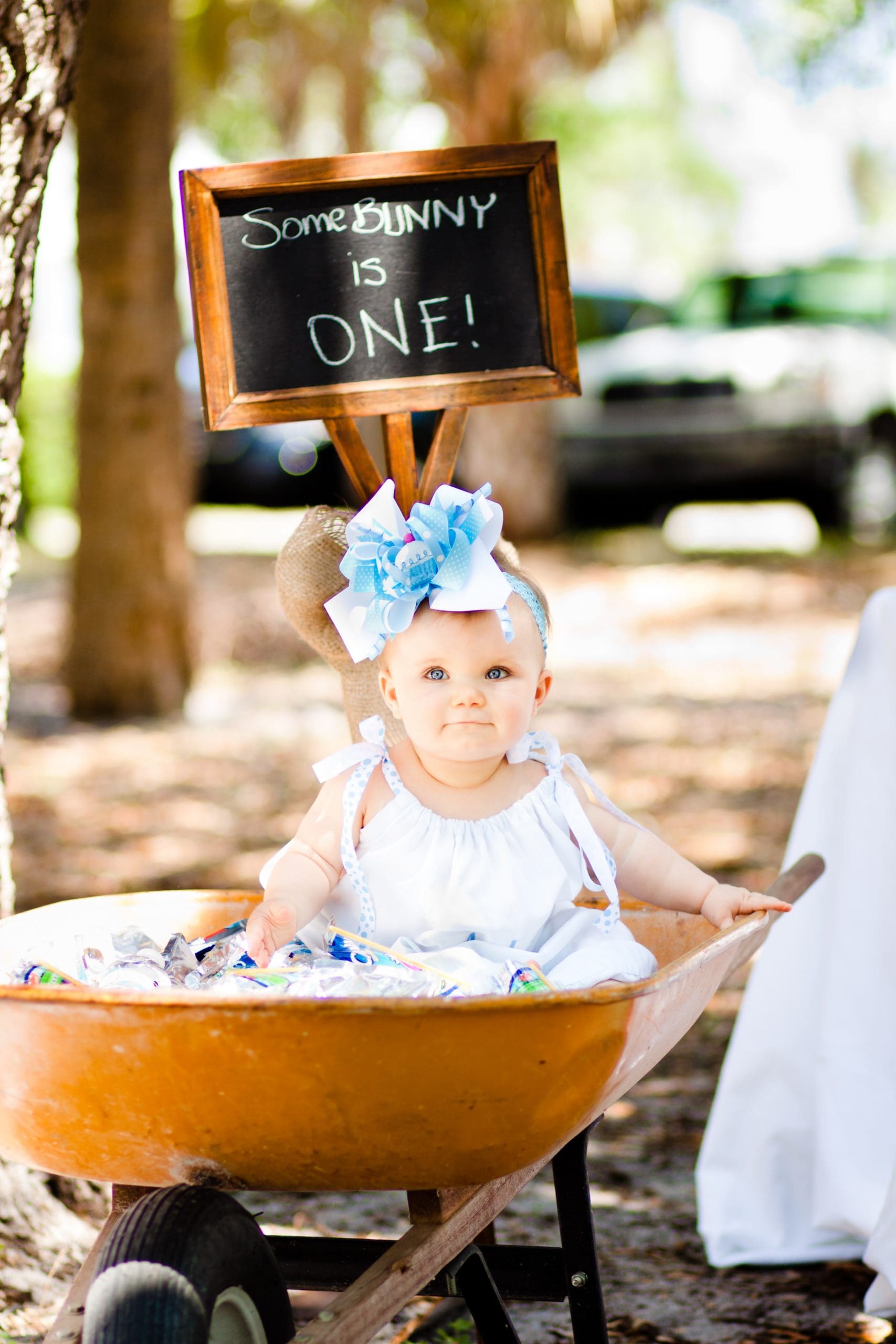 adorable baby Addy in a wheelbarrow with a sign that says "somebunny is one!"