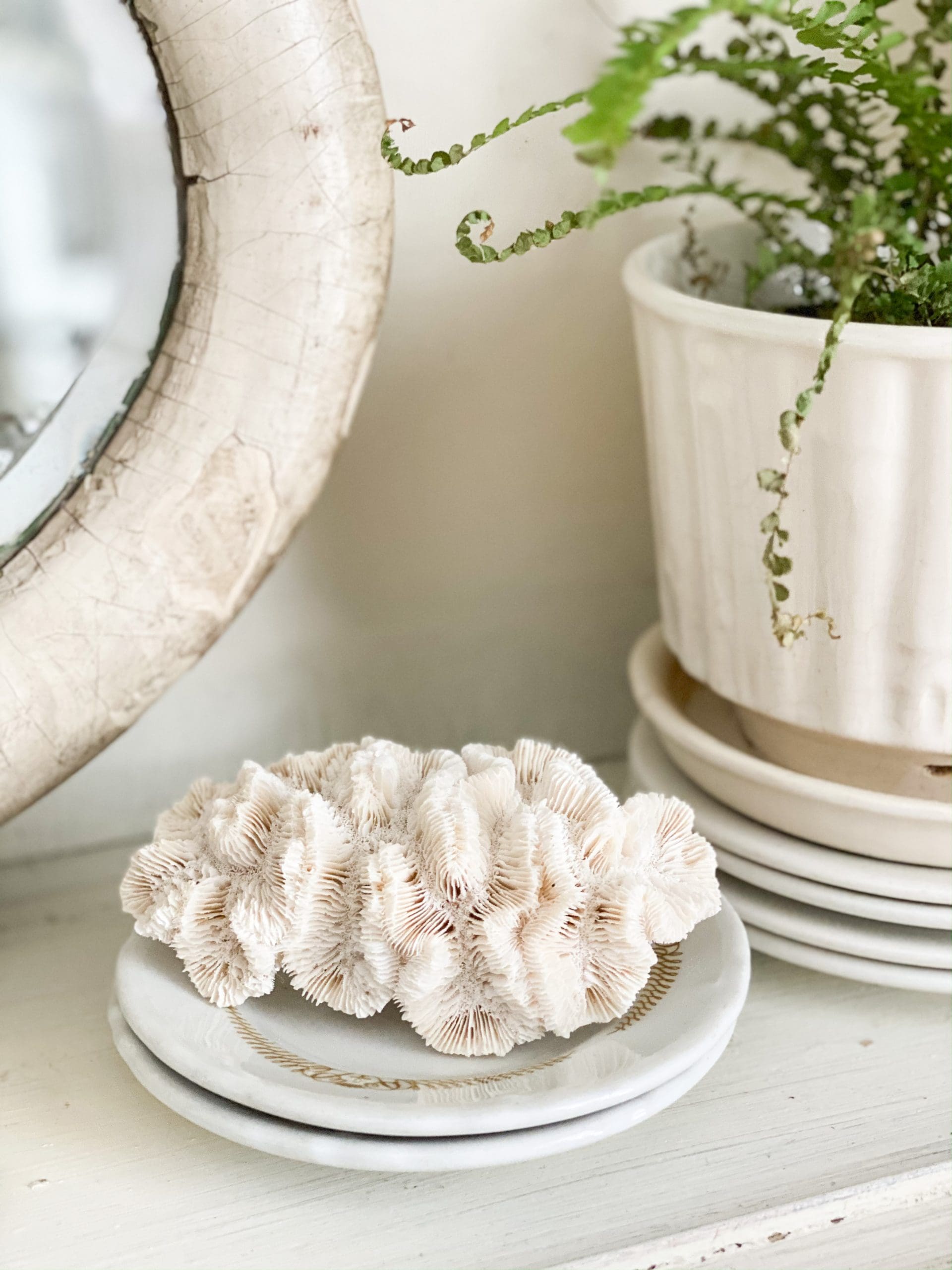 unique white coral styled on a small ironstone plate