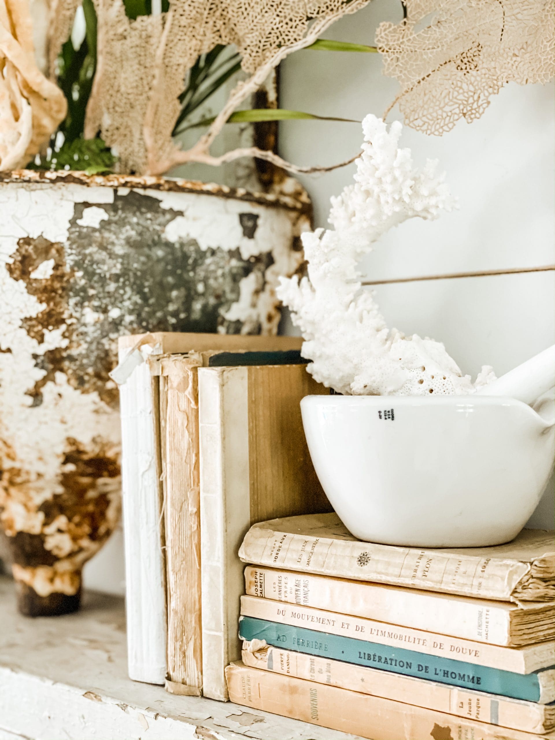 neutral colored books stacked underneath a vintage mortar and pestle with a pretty coral piece inside