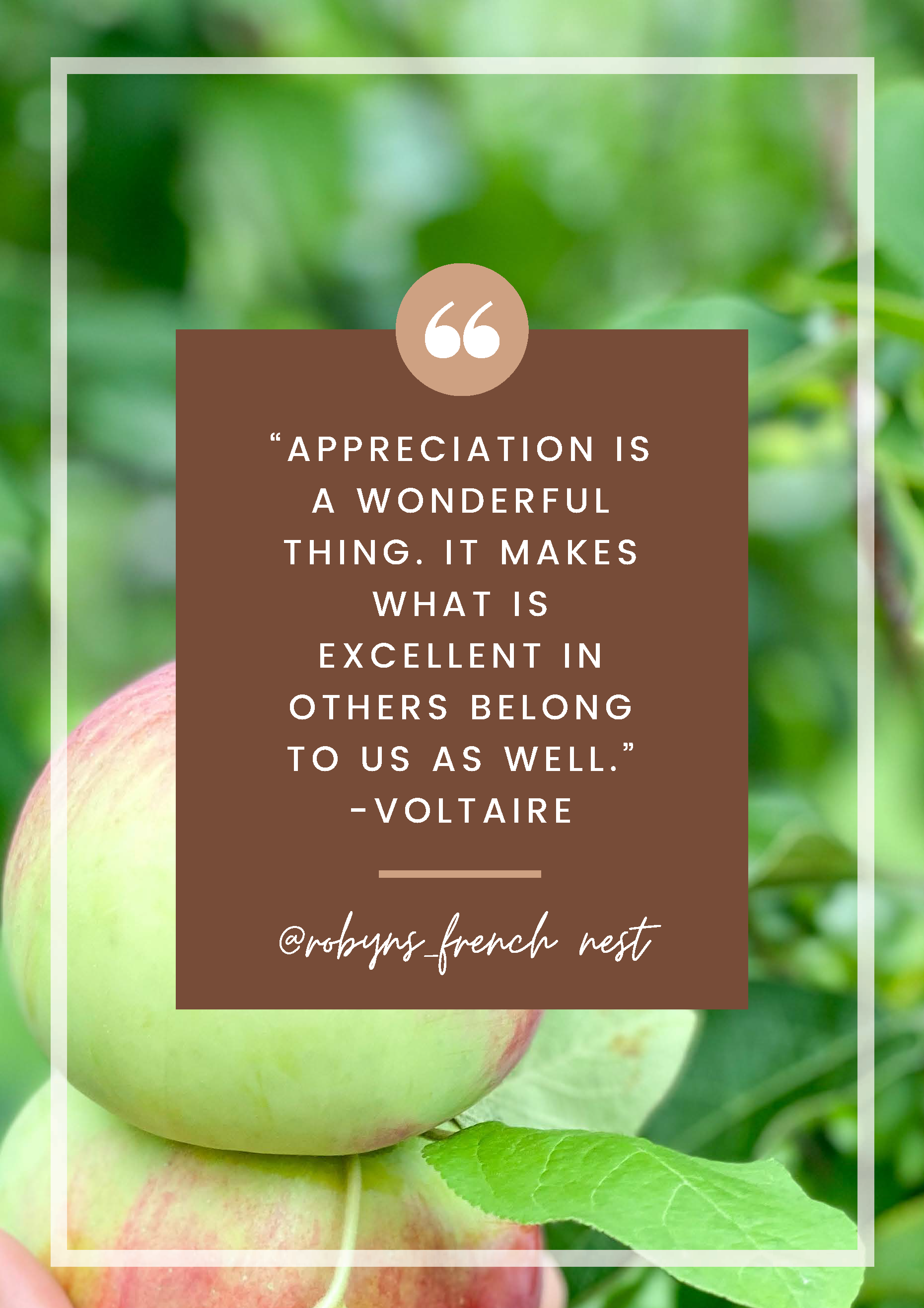 Picture of an apple on the tree close up overlaid with a quote about appreciation/gratitude