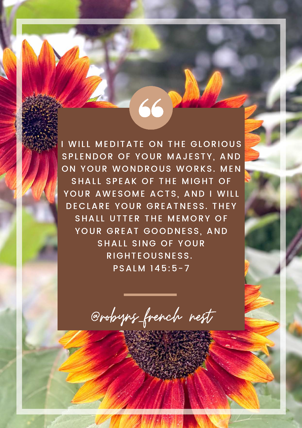 Picture of vibrant flowers overlaid with a verse about thankfulness