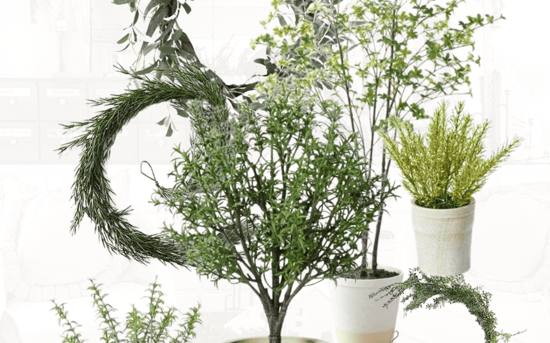 Friday Favorites:  Greenery & Containers