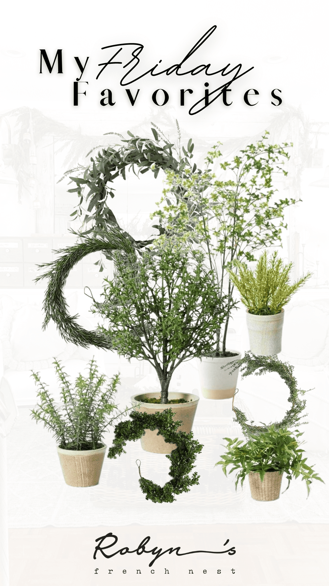 Friday Favorites:  Greenery & Containers