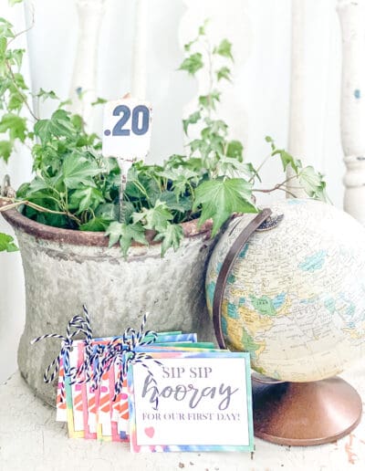Potted plant beside vintage globe & teacher gift cards for returning to school