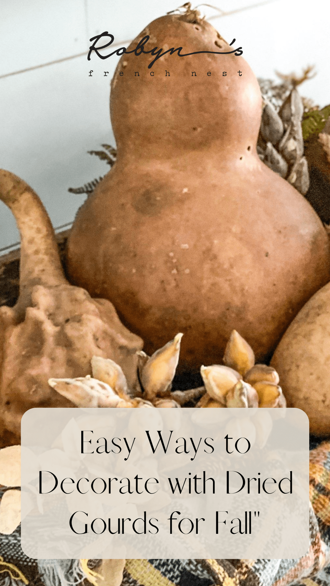 5 Beautiful Ways to Use Dried Gourds for Fall Decor