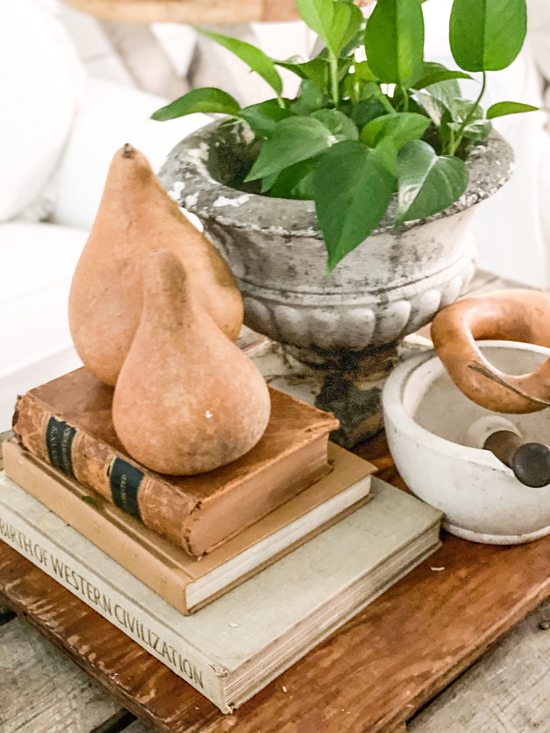 two gourds on top of a stack of books, styled alongside a chippy white concrete planter and a vintage mortar and pestle