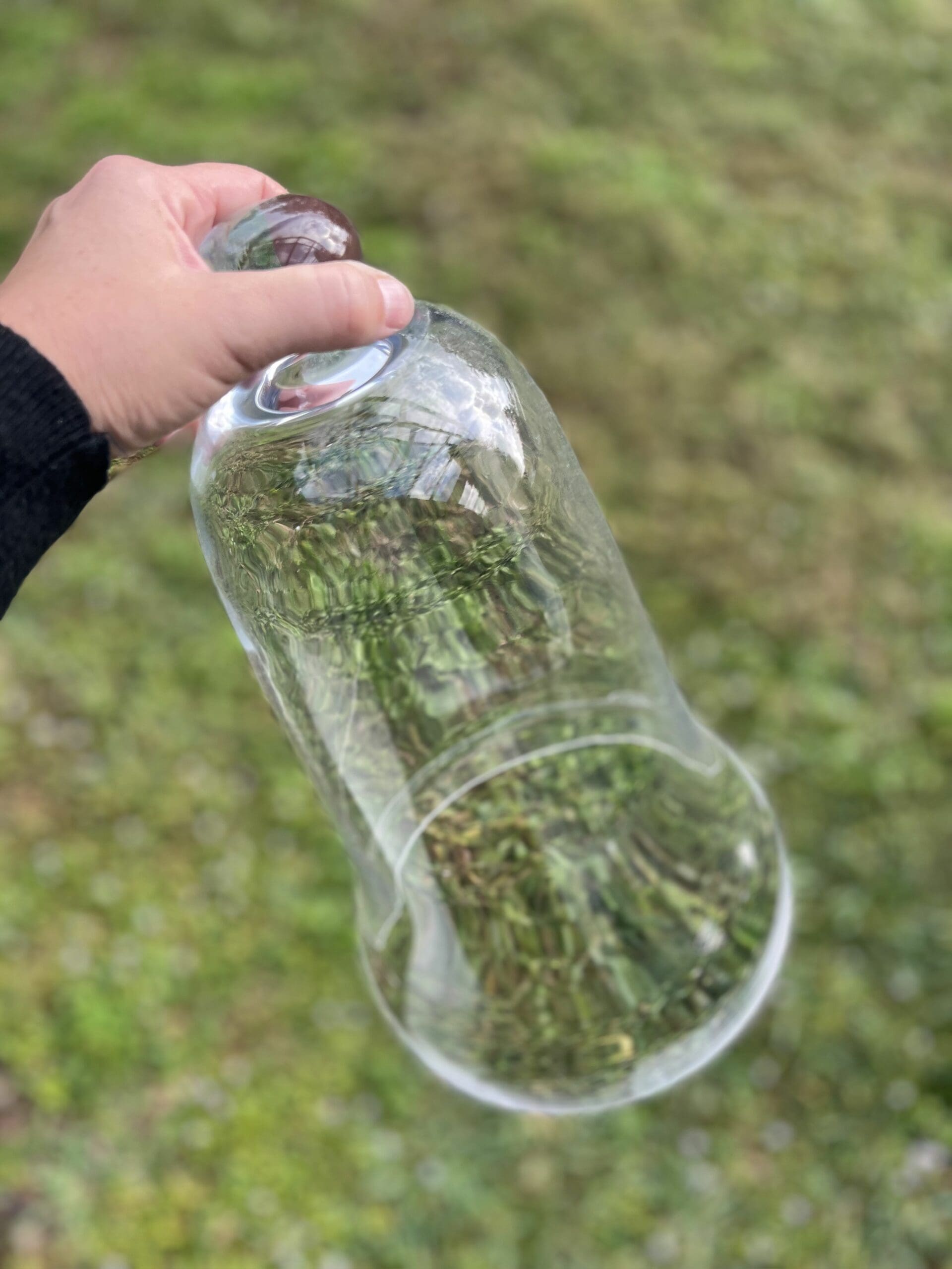 amazing glass cloche found at a yard sale