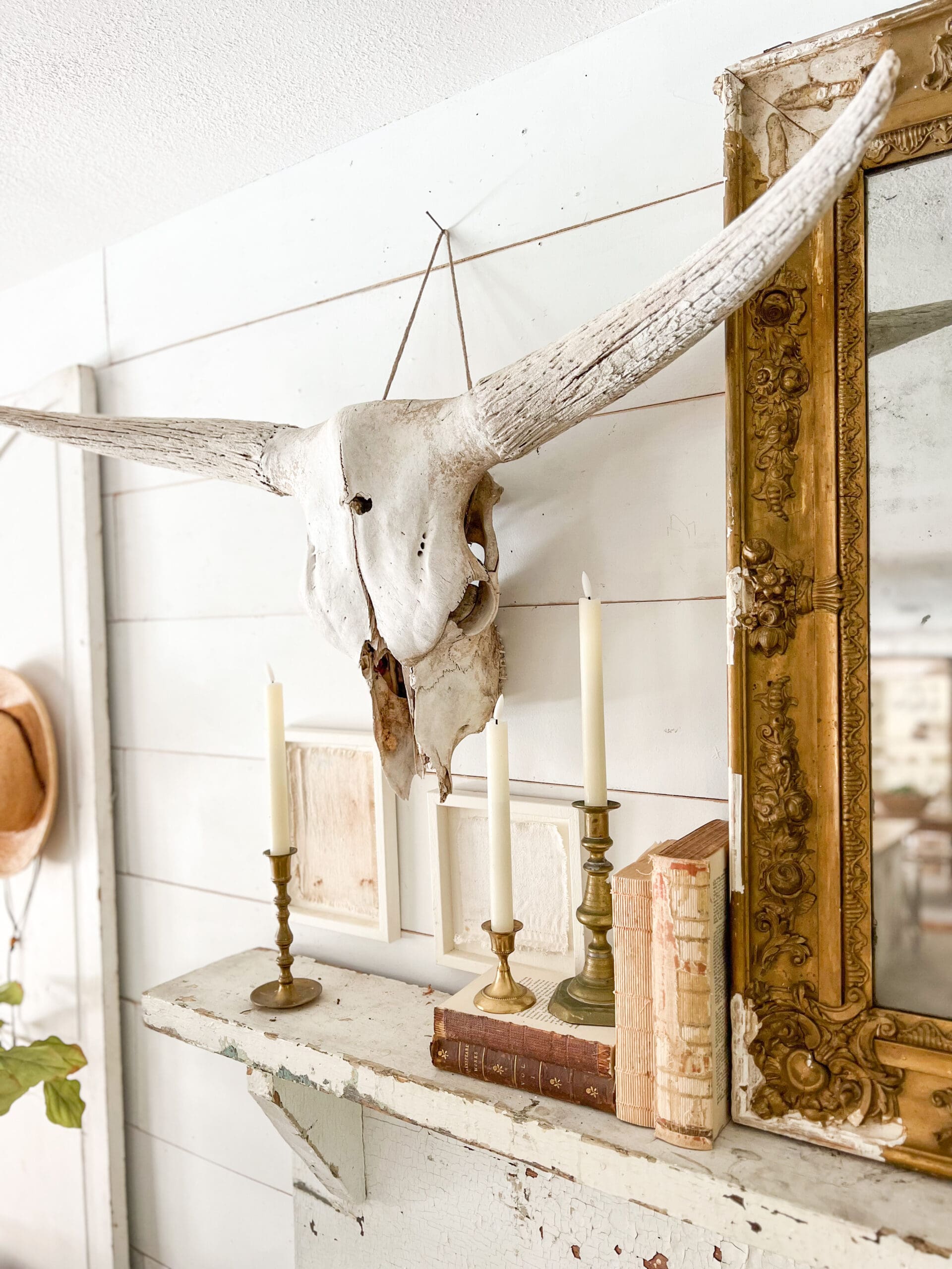 Steer skull hung on white wall styled along with gold vintage frame and vintage books