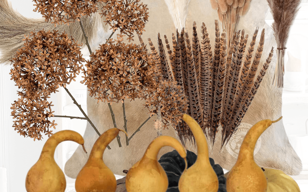 Friday Favorites-Natural Elements for Fall Decorating