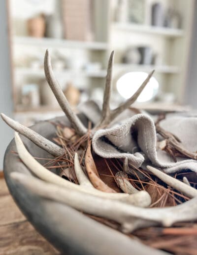 close up of antlers in a large concrete bowl