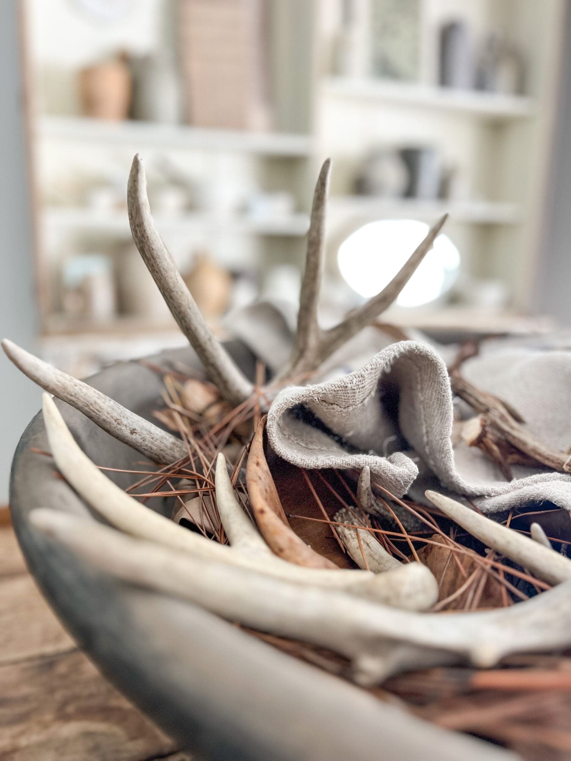 close up of a large concrete bowl filled with antlers and pine needles