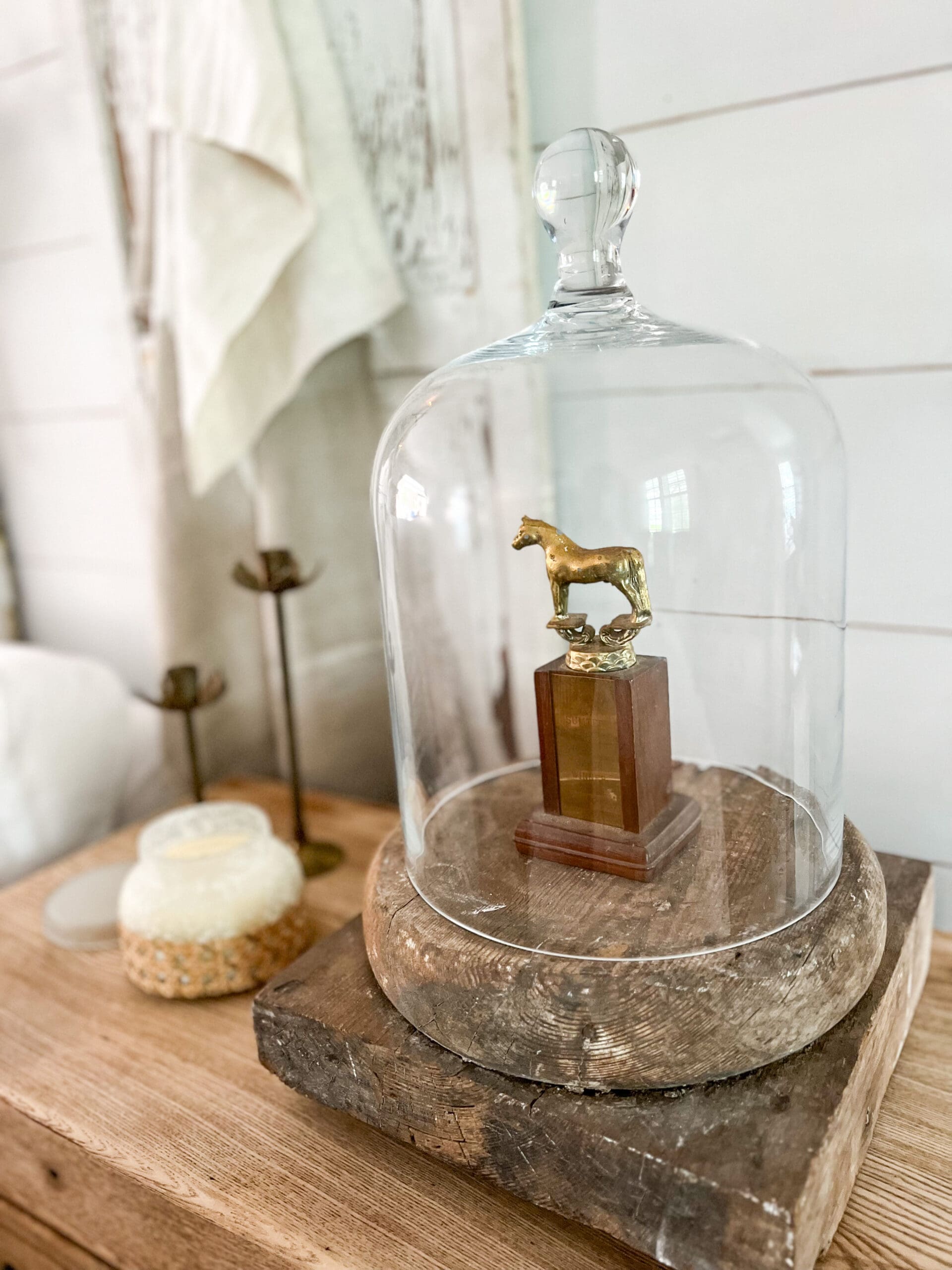 unique vintage golden horse trophy underneath a glass cloche on a chippy wooden base