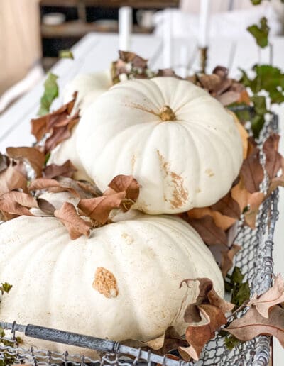 Cream-colored pumpkins and dried leaves in a wire basket