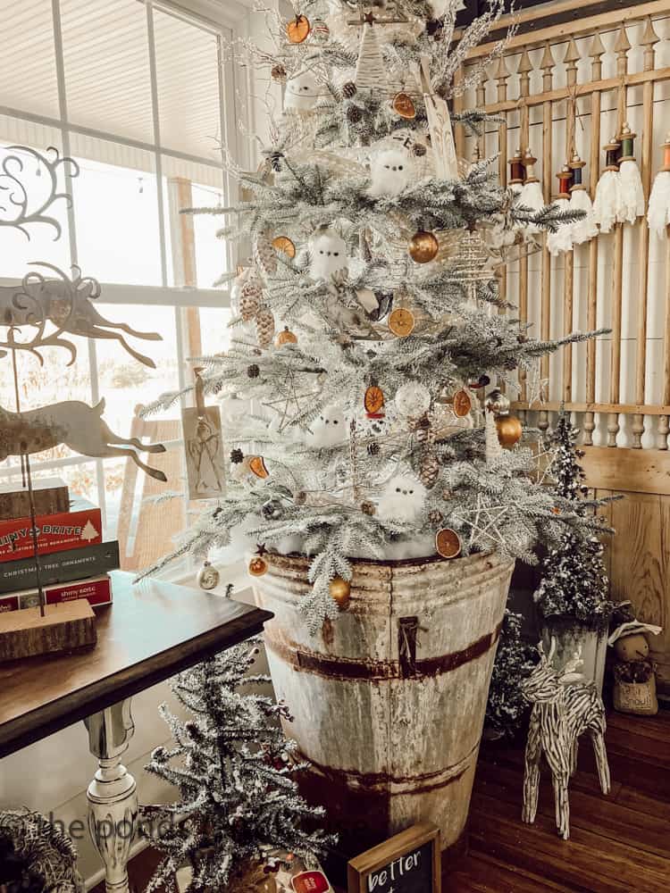 Rustic white Christmas Tree set in old galvanized over-sized bucket