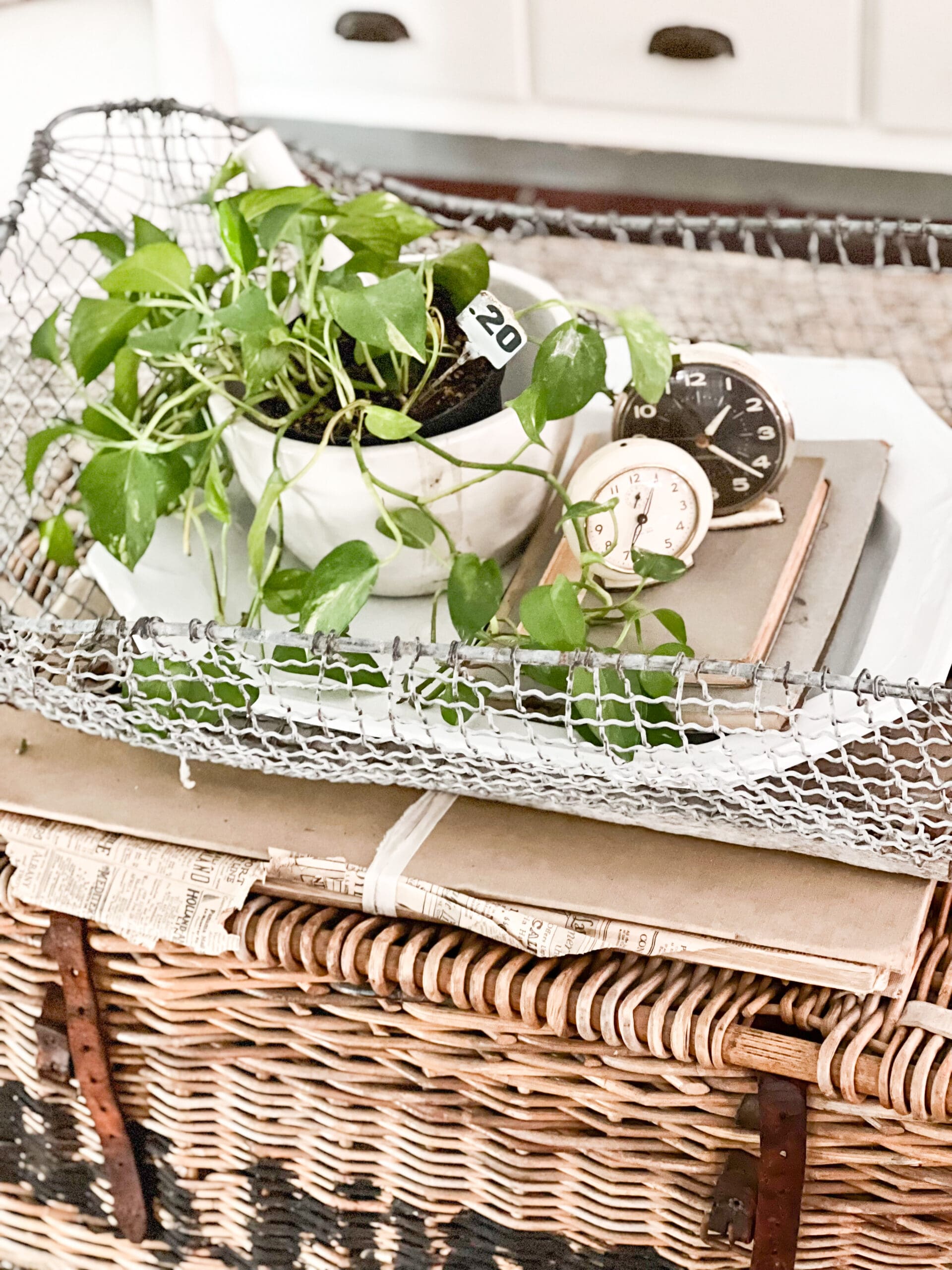 close up of wire basket holding books and a plant on top of a basket for a coffee table