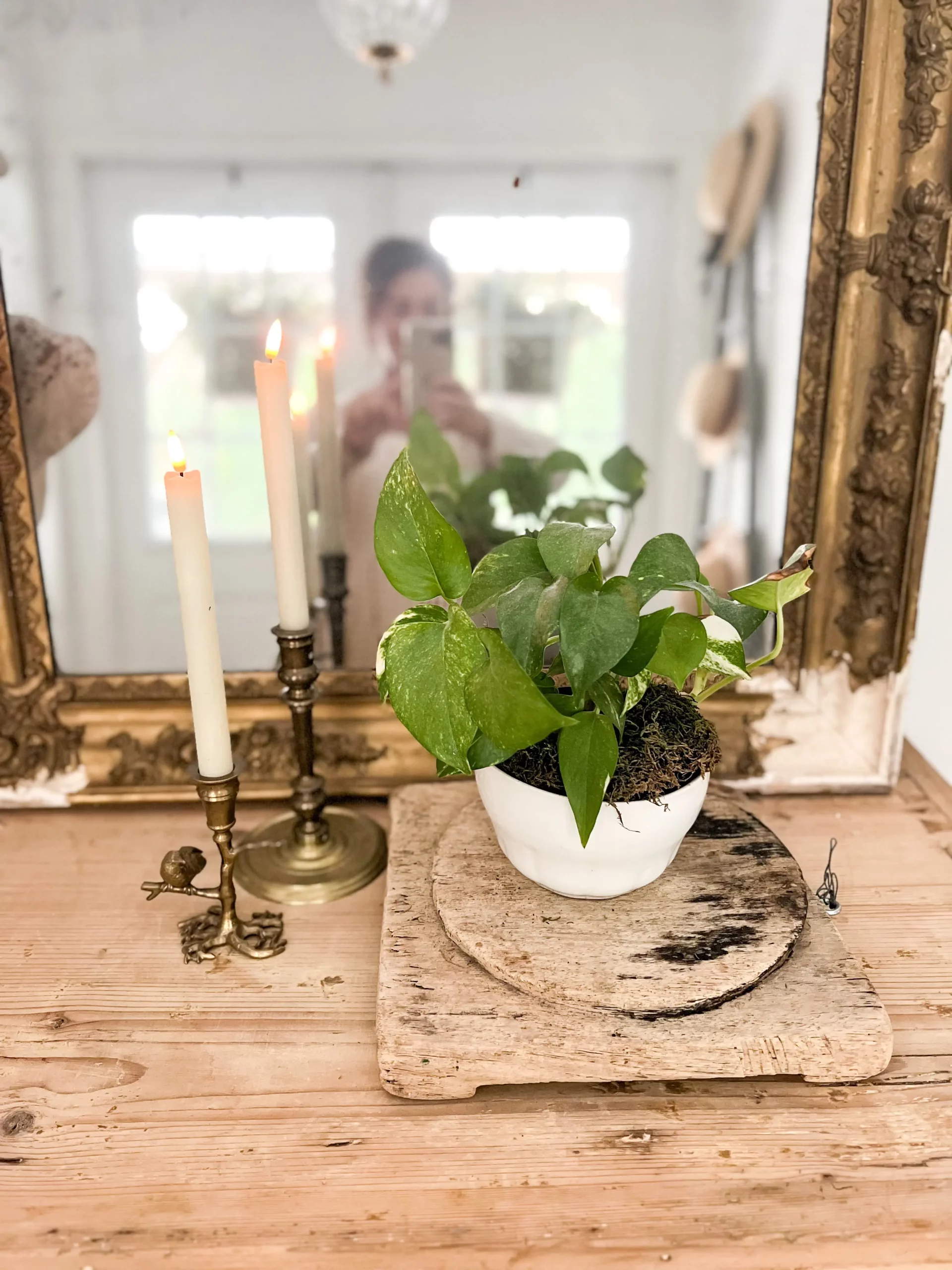beautiful vignette with brass candlesticks holding flameless taper candles with a pathos plant in an ironstone planter next to them