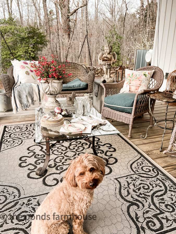 beautiful home styled with vintage decor and a sweet dog sitting on the rug