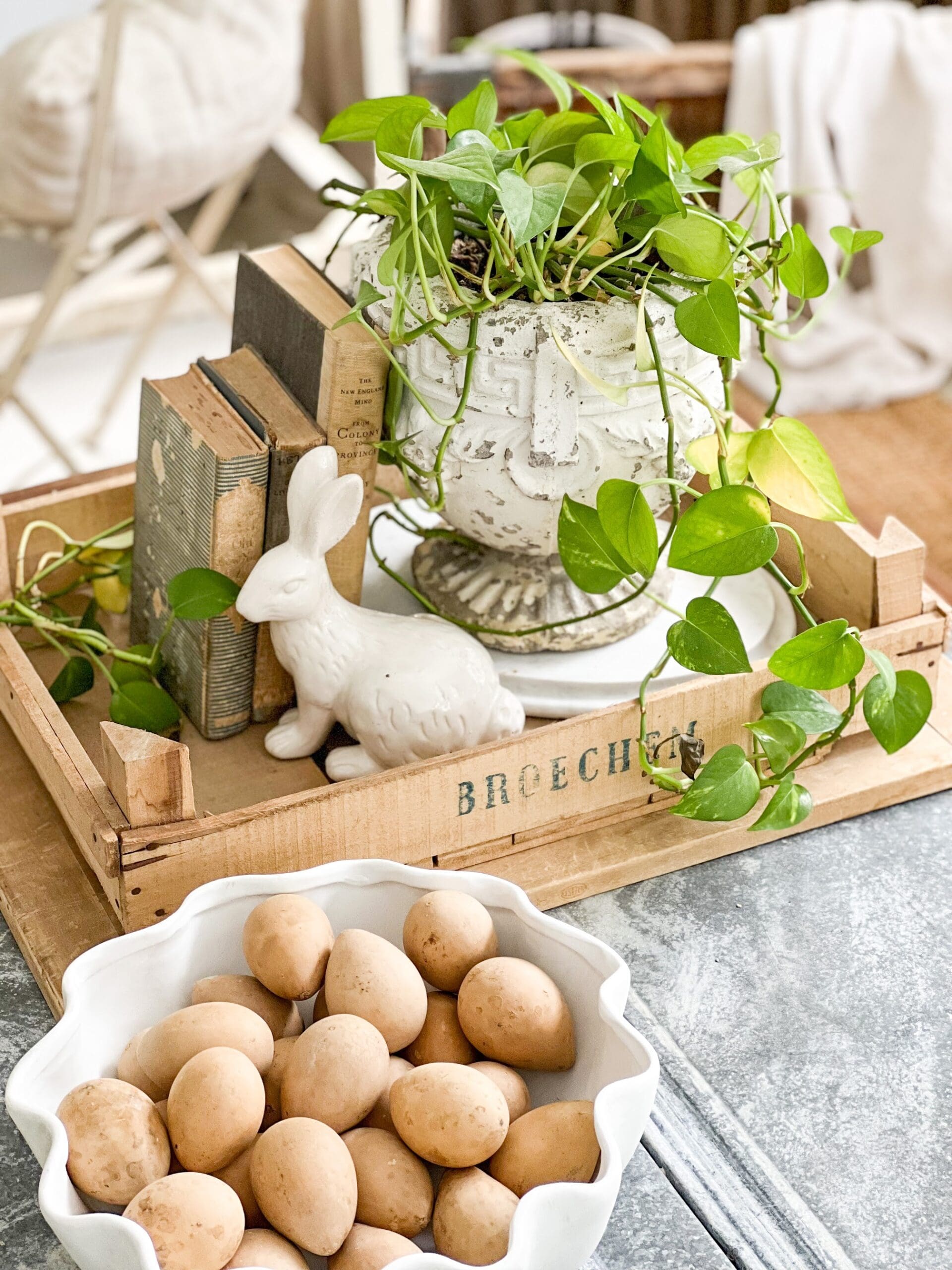 spring vignette with a bowl of wooden eggs and a small bunny as well as a plany