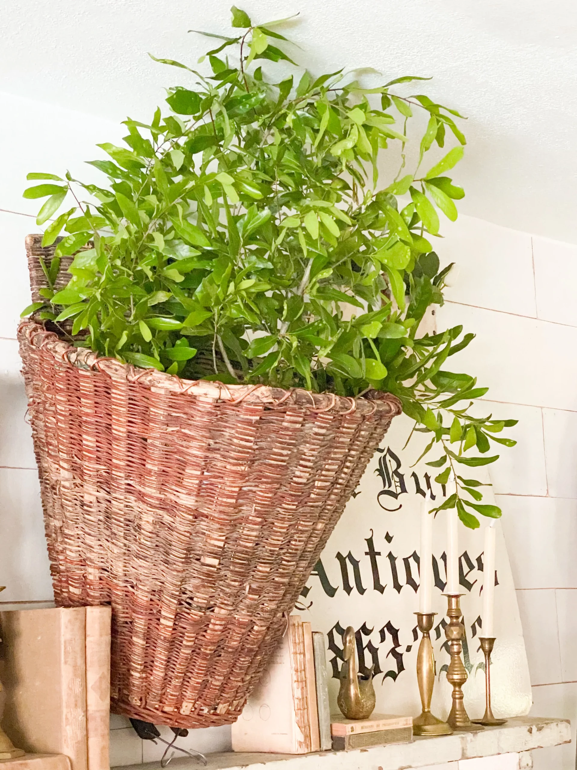 side angle of a large woven basket with fresh branches of greenery