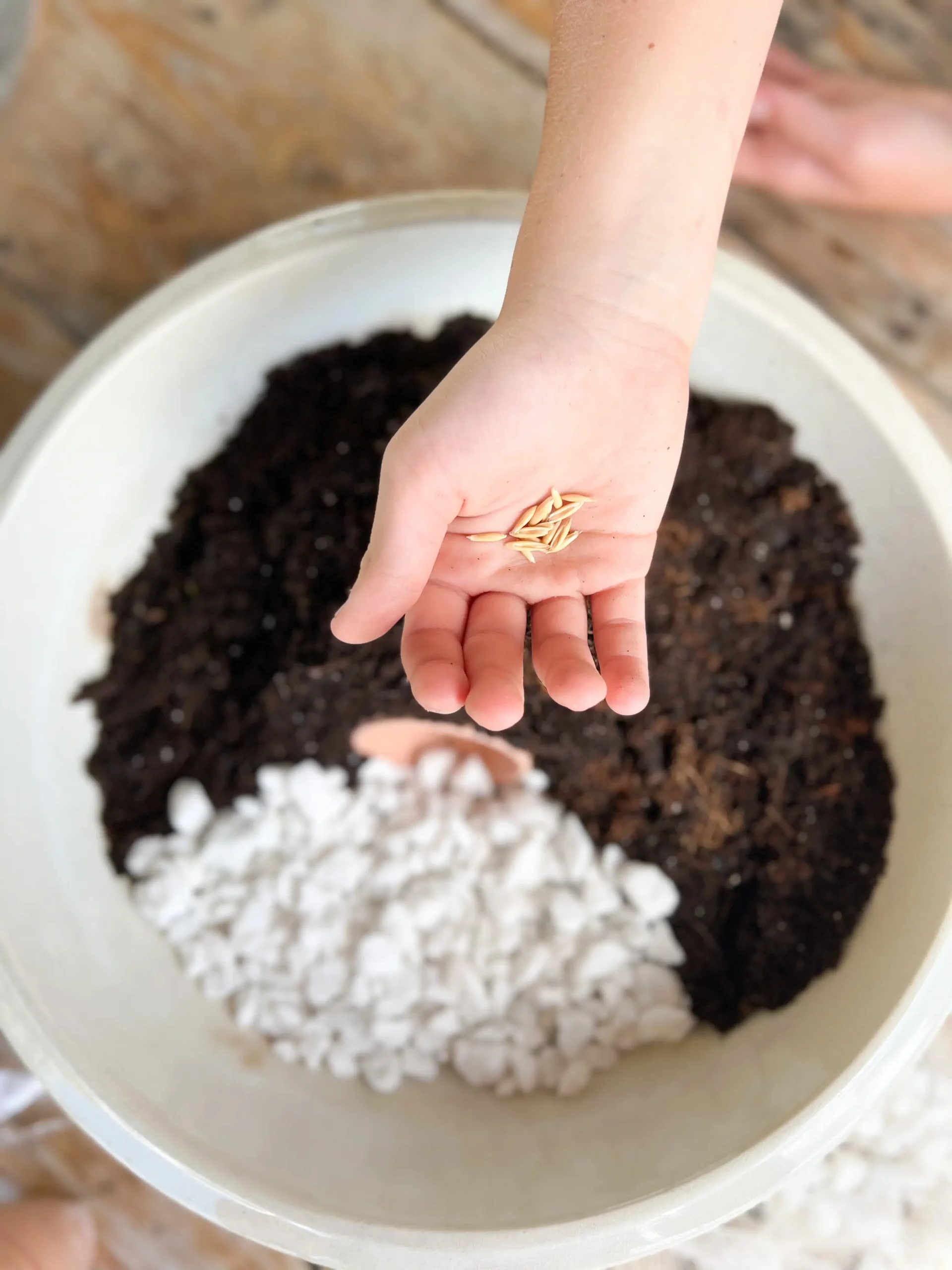 one of the kids holding seeds over the resurrection garden