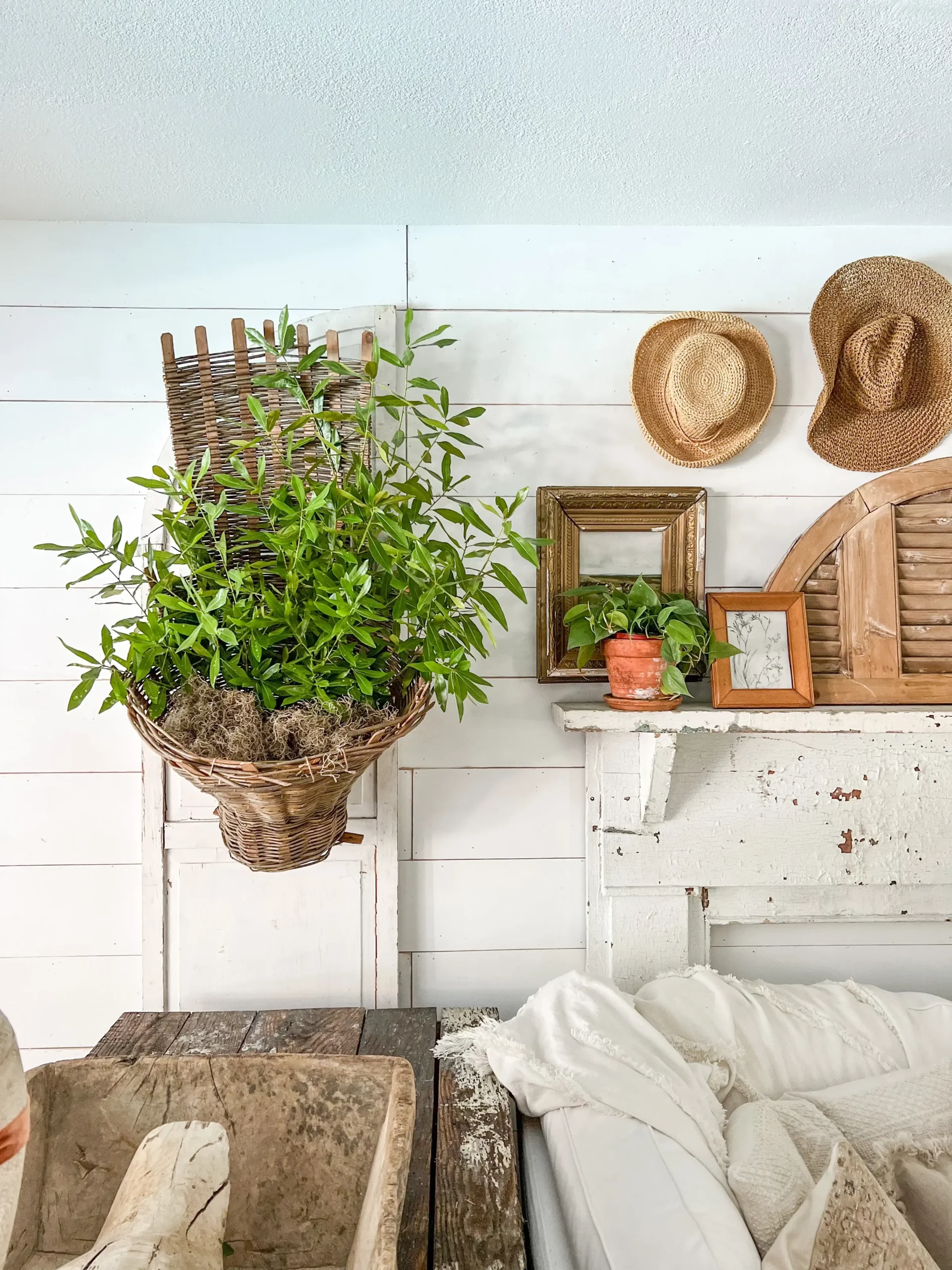 large basket hanging on the wall with the gallery wall holding fresh greenery
