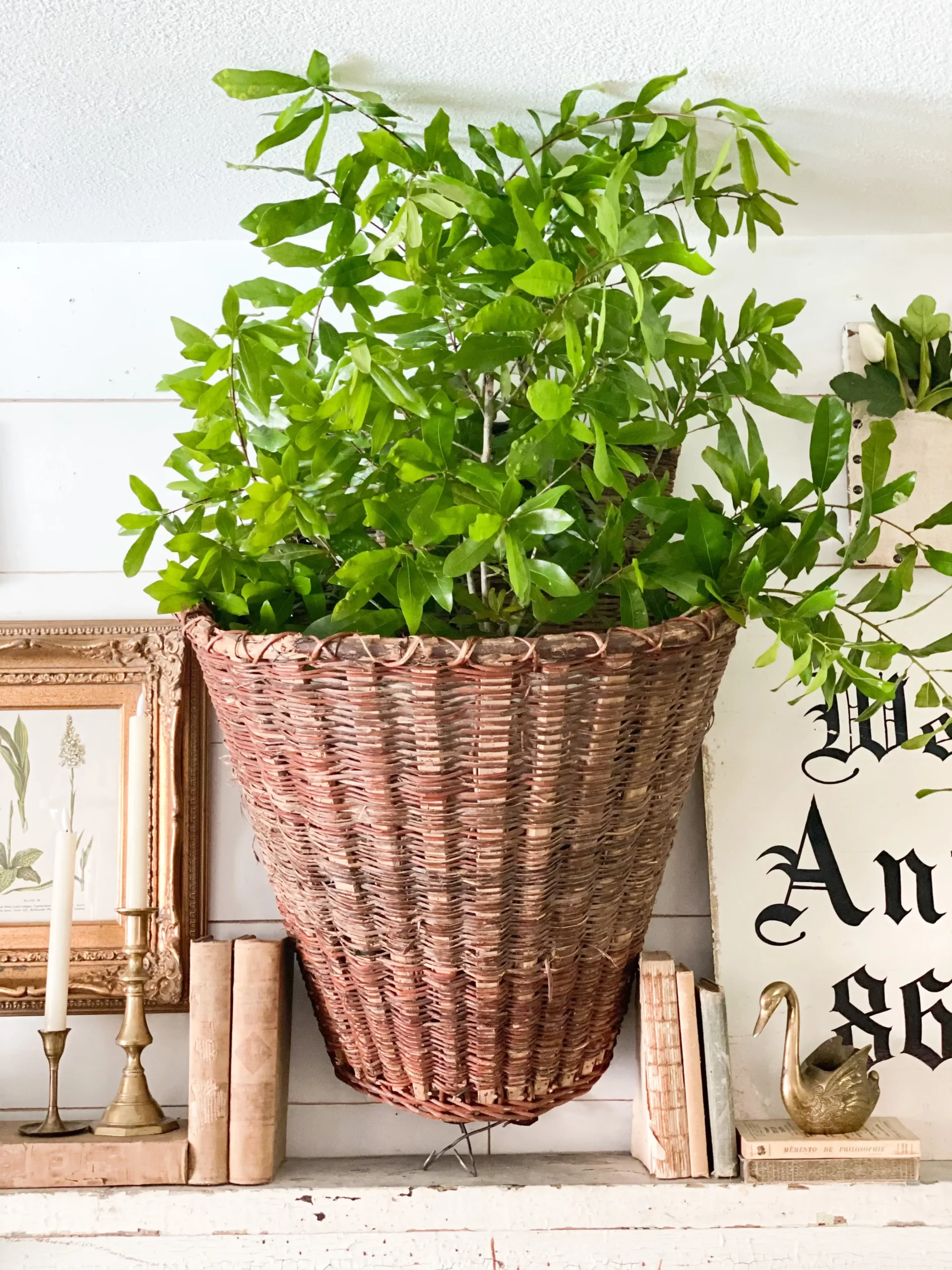 large basket hung up on the wall with fresh greenery clipped from outside