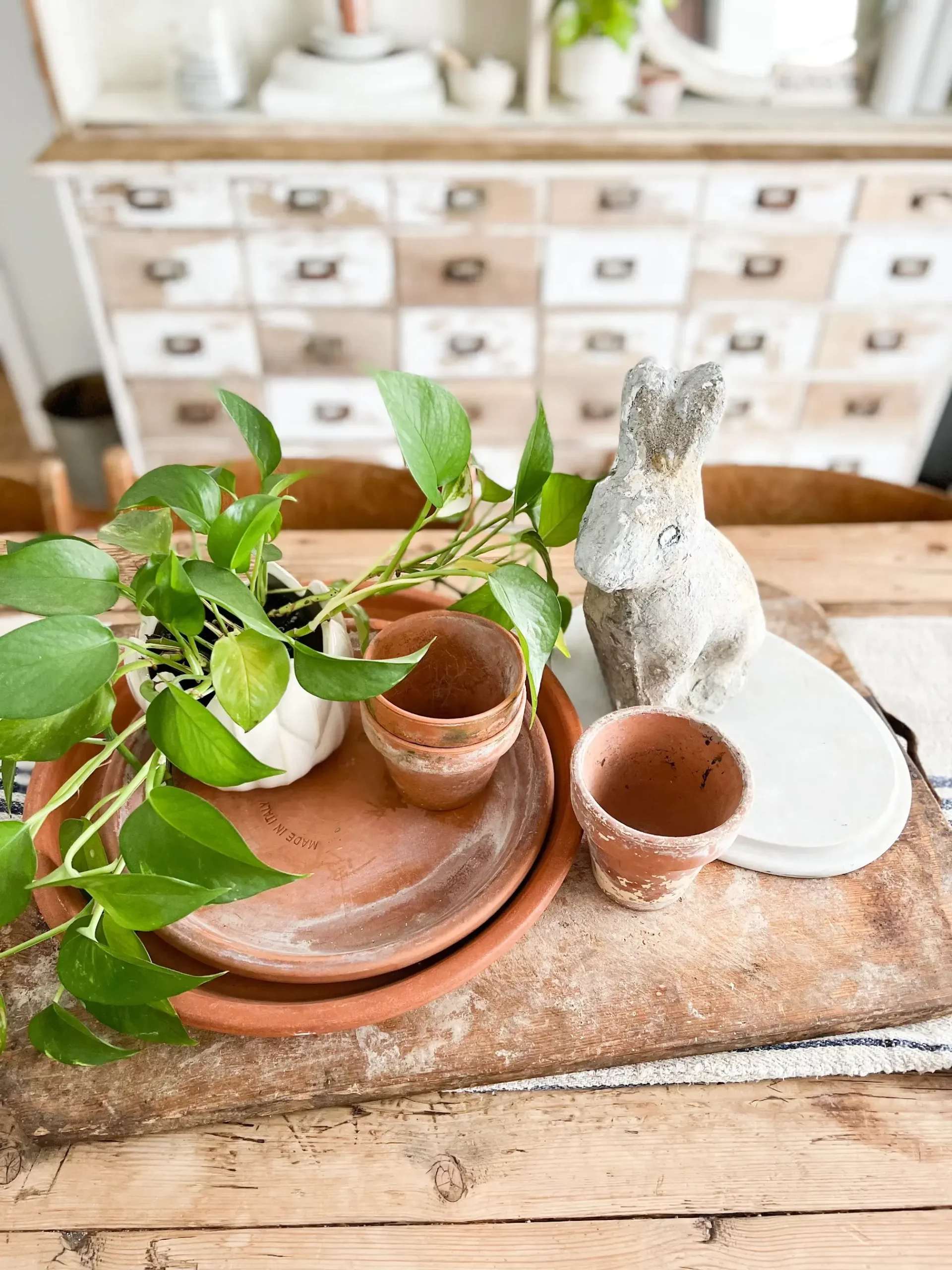 terracotta saucers and pots styled with a concrete bunny and pothos plant