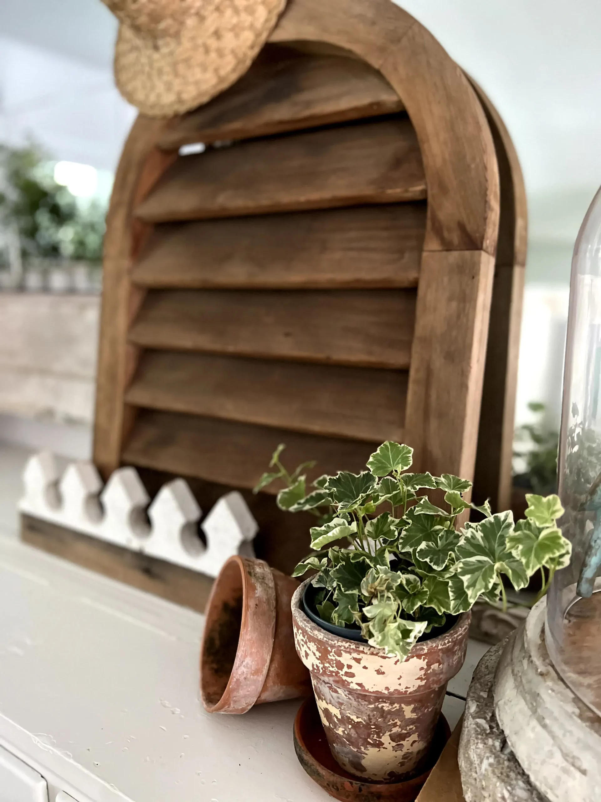 small plant in a terracotta pot styled in a mantel vignette