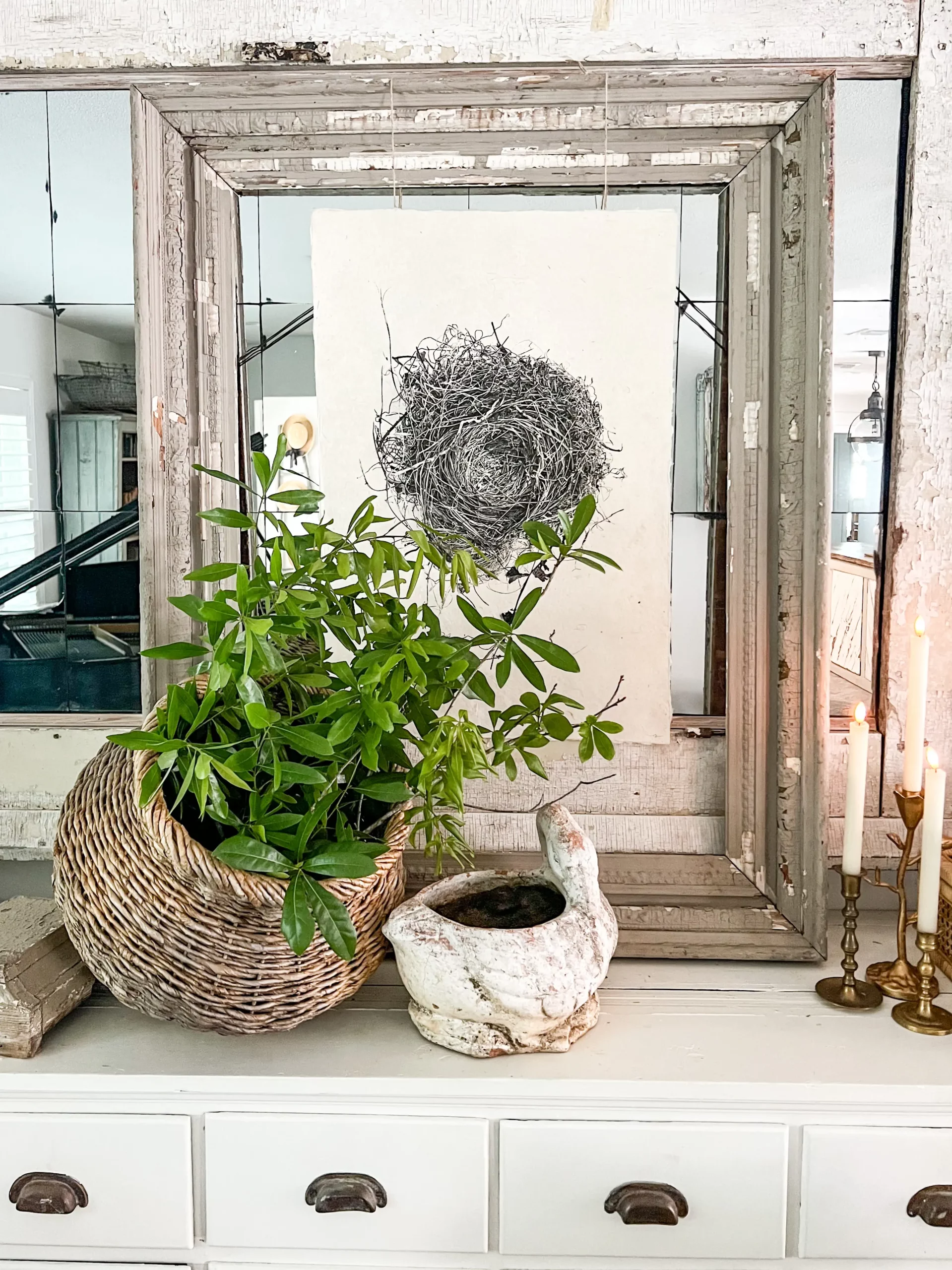 beautiful birds' nest print in a large frame on a white apothecary