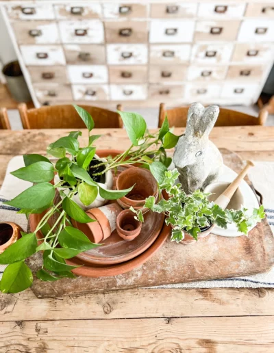 terracotta trays and pots styled with greenery and a concrete bunny